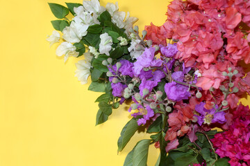 colorful flowers frame greeting background