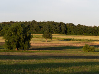 Landschaft bei B&uuml;chel