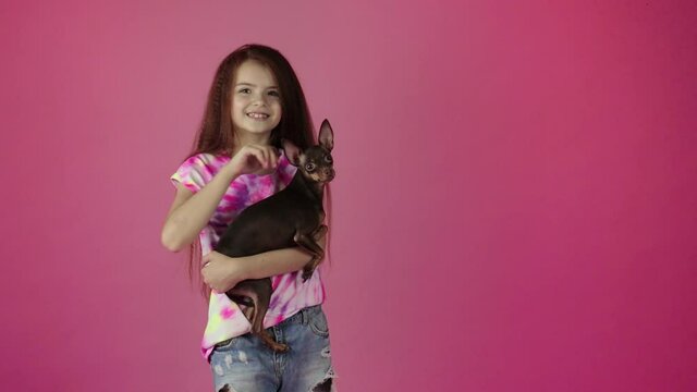 Cute child petting a russian toy terrier dog