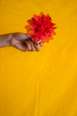 hands holding flower