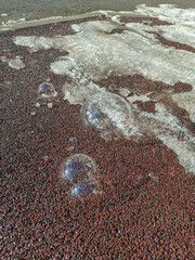 Soap bubbles lying on the maroon surface next to snow blocks