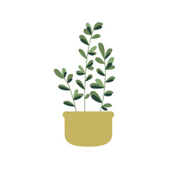 Zamioculcas, Ficus, Eternity plant in pot. House indoor plant. Botanical, tropical. Home decor, taking care of house plant, growing potted plants at home concepts. Flat. Vector stock illustration.