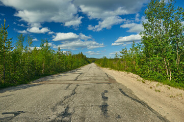 Fototapeta na wymiar Dirt road in a beautiful green forest in Karelia.