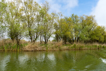 Channel landscape with waves in Danube Delta,  Romania,  on summer day
