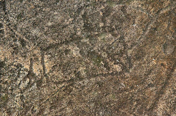 Petroglyphs in Karelia, Belomorsk district, Russia.