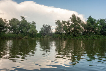 Landscape in Danube Delta area, Romania