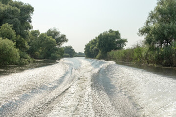 Channel landscape with waves in Danube Delta,  Romania,  on summer day