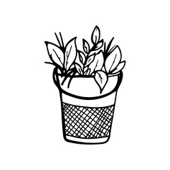 Plants and leaves in a metal bucket. Hand-drawn doodles.