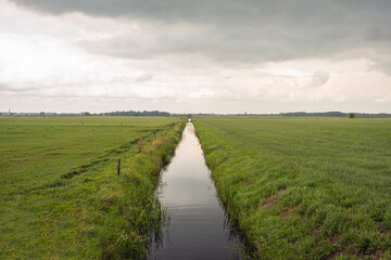 Fototapeta na wymiar Typical Dutch landscape with a straight ditch in the polder