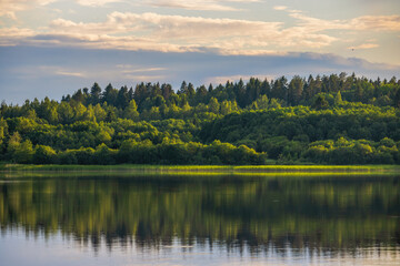 Scenic view of the forest by the lake. Beautiful summer landscape with a lake and trees.
