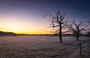 Fototapeta na wymiar Winter sunrise