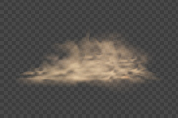 Dust and sand clouds isolated. big explosion realistic texture with small particles or grains. Desert sandstorm.