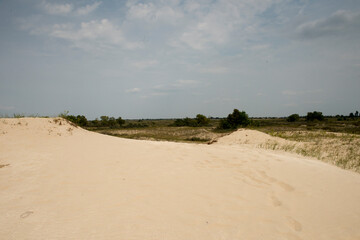 Fototapeta na wymiar Sand dunes in Letea forest , in the Danube Delta area, Romania, in a sunny summer day