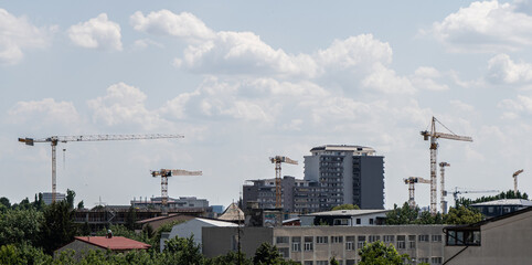 cranes in full working process in a summer day