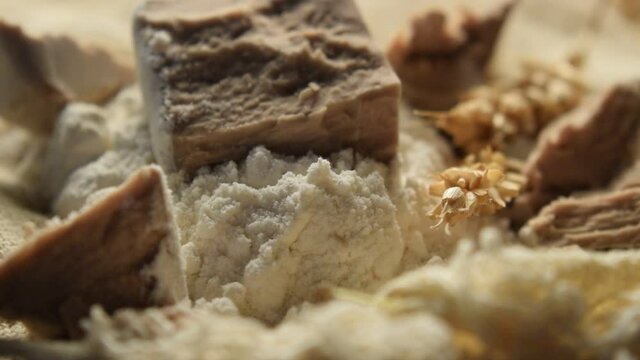 Lievito di birra ft0206_0218 Hefen Yeast Levure Kvasovka