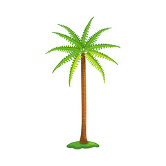 Palm tree with green serrated leaves and tall brown trunk