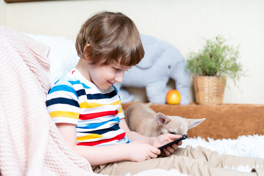 Cheerful little child boy playing online game, watching video on cellphone. Smiling small kid using funny mobile apps, enjoying free leisure time at home, play together with puppy dog chihuahua.