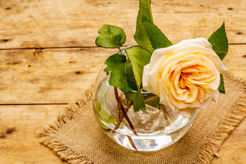 Fototapeta na wymiar Tea rose in a glass vase. Romantic mood concept