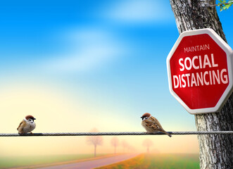 Birds practicing social distancing. Covid-19 awareness theme concept with humor.