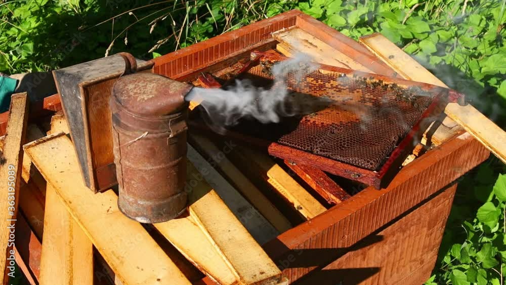 Poster chimney of the beekeeper and a beehive with a framework of work on an apiary