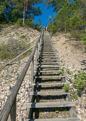 Obraz premium wooden stairs on the floor by the sea, Saaremaa island, Estonia.