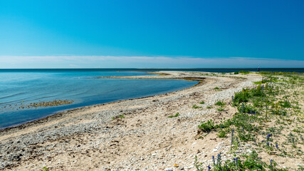 Fototapeta na wymiar traditional Saaremaa seascape, Baltic Sea, Saaremaa Island, Sorves Peninsula, Estonia