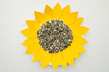 DIY home made Sunflower blossom with natural sunflower seeds an eco-friendly game. Reuse that what you have. Zero waste. Fine motor skills and arm muscle tone training. Early education of children.