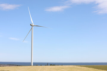 Fototapeta premium Beautiful view of field with wind turbine. Alternative energy source