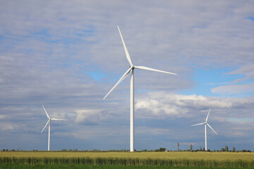 Beautiful view of field with wind turbines. Alternative energy source