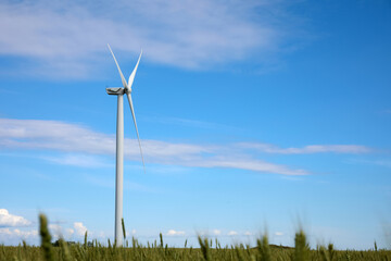 Fototapeta premium Beautiful view of field with wind turbine. Alternative energy source