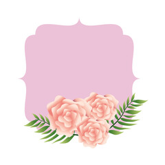 beautiful pink flowers and leafs decorative frame