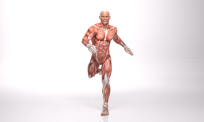 3D Rendering : a running male character with muscle tissues display