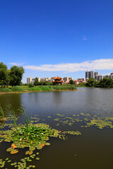 Obraz premium Summer Landscape of Waterfront City, Tangshan City, China
