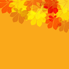 Abstract Autumn Leaves on orange Background. Vector Illustration