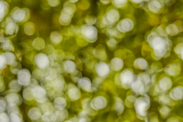 Abstract yellow blurred nature background with bokeh for creative designs