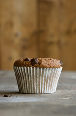 Single chocolate muffin portrait orientation with blurred background