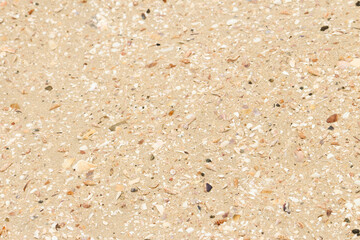 Golden beach sand with small shell fragments background