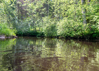 landscape with forest river reflection view, green forest river view