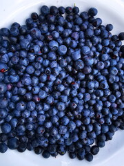Blueberry (Vaccinium myrtillus). Blueberry fruit on a plate.