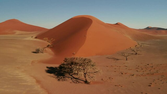 Aerial of Dune 45 near Sesriem Sossuvlei national park in Namibia, famous touristic photo spot for sunset, with a view on the surroundings composed of giant dunes