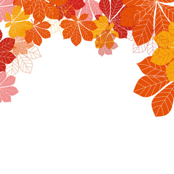 Abstract Autumn Leaves on white Background. Vector Illustration