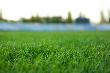 Green lawn with fresh green grass at stadium