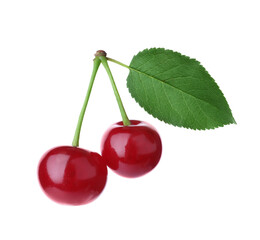 Sweet red cherries with leaf isolated on white