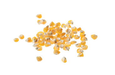Pile of raw dry corn seeds on white background. Vegetable planting