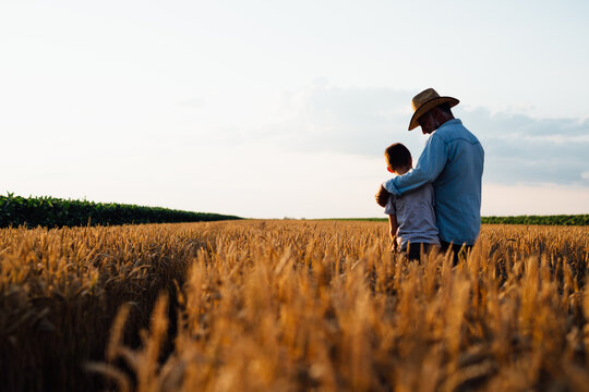 farmer and his son walking fields of wheat