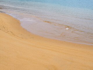 Fototapeta na wymiar Waves for shallow beach in countryside of Japan.