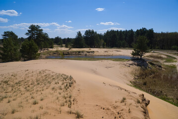 sandy prairie landscape at the hot summer, ecological calamity scene