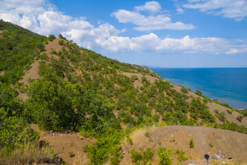 Fototapeta na wymiar slope of sea cliff at the summer time