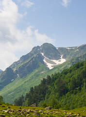 Fototapeta premium green mountain valley with high alone mount peak