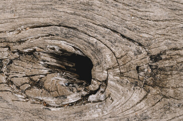 Old Wood, timber, wooden surface